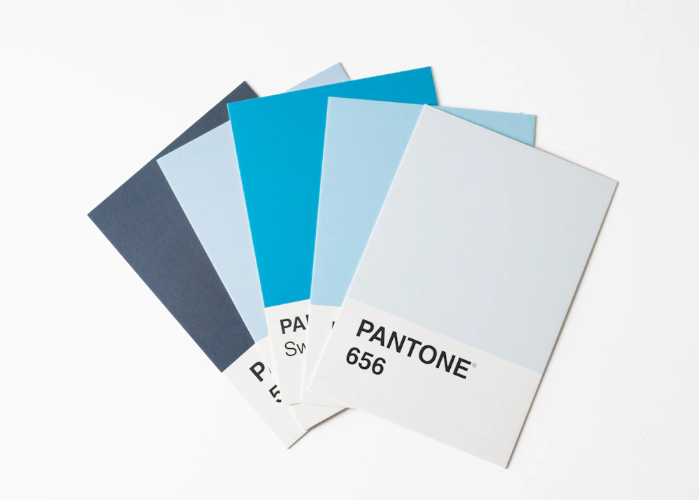 Color swatches used to choose a logo color palette