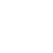 WordPress logo